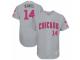 Men's Majestic Chicago Cubs #14 Ernie Banks Grey Mother's Day Flexbase Authentic Collection MLB Jersey